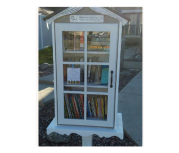 Carole Highlands Free little library