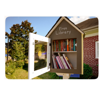 Carole Highlands Little libraries